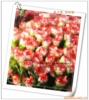 �ṩ������笷졢���������ޡ�ѹ����������ѹ�Ƽӹ�