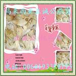 ��Ӧ��Ĥ�޷Ĳ���������������������Ʒ����չ���