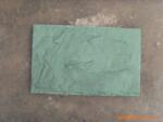 ��#3-2003����ͯ��Ȧ�������� 69x45CM