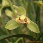 ��Ӧ��ǿ��GRCĻǽ�壬
