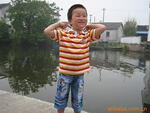��Ӧ��ľ���� ��ľ����Ʒ ��ľ���������(ͼ)