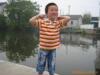 ��Ӧ��ľ���� ��ľ����Ʒ ��ľ���������(ͼ)