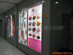 ��Ӧ���������ţ�в�
