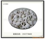【绿资水族-0232】硝化环 AA级超白玻璃环 过滤材料