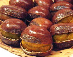Цringent chestnut