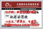 供应治疗蛋鹅蛋鸭浆膜炎特效药-驰骋好得快