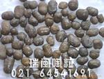 ��Ӧ������������
