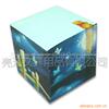 供应广告纸砖礼品 便签 创意便笺