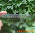厂家供应防眩玻璃 1.1MM~6MM厚,4~12级