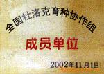 四海牧业供应种猪,