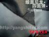 供应A03锦纶四面弹面料