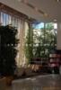 植物装饰