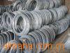 ���������һ��ͼƬ