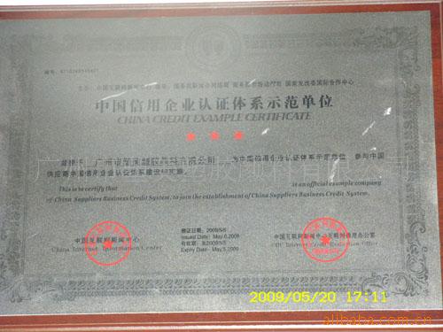 SDC10446