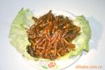 ��Ӧ��Ȼ�ߵ��� �ȳ� �ٶ�ʳ������