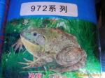 供应美国青蛙、牛蛙浮性饲料、膨化饲料、泥鳅饲料、黄鳝饲料