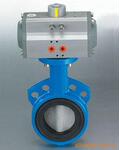 �������ܷ�Լе���Pneumatic soft seal for butterfly valves