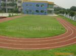EPDM地面.塑胶跑道、弹力跑道.幼儿园跑道、EPDM彩色橡胶地面