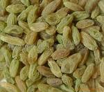 批发2010精制葡萄干红色,绿色,黄色,黑色,紫色