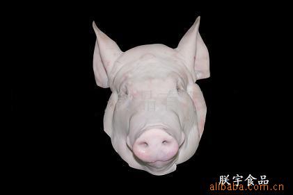 2:8等各种比例碎肉及各首页 食品,饮料 肉类 简加工肉类 供应优质猪头