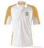 ��Ӧ������ʽPOLO�� �������涩��