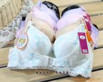 WX616脂肪油塑胸文胸胸罩,专柜品质聚拢文胸批发