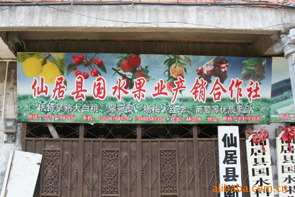 【供应仙居杨梅】价格,批发,供应商厂家 - 仙居县国水