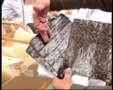 紫菜--六天交易5个亿! 农业致富经 故事 CCTV7致富经 蔬菜
