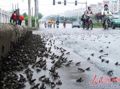 ��ˮȱ�� ����ֻС��ܹ�������