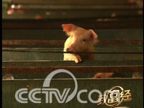 ���������˵�׬Ǯ�ŵ�
