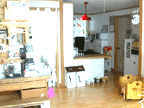 ����Ů��DIY�����������԰(1)