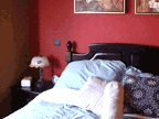 ������԰����� С�ʵ�135ƽԾ��