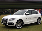 �µ�Q5-����/�������20��