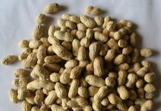 世界产量最大的水果_世界花生人均产量(2)