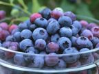 ʳ�������λ�8Ա��