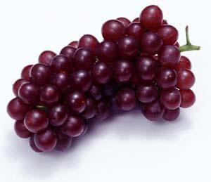 6 fruits keep you younger food cate 