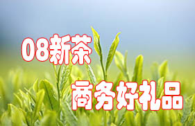 08�²�����