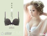 ���鲽�������� ��ͬ������װ��