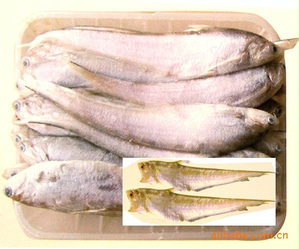 【太湖特产】 凤尾鱼