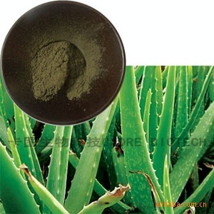 芦荟叶粉