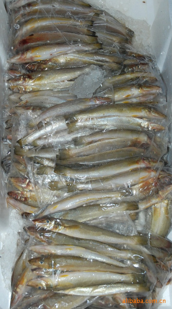 山尖 有意可来电咨询 价格市场时价出售_鱼类_鲜活水产品_供应_厦门