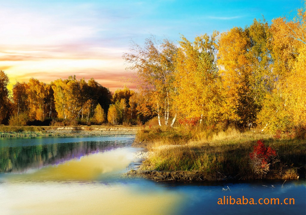 供应风景高清三维立体画壁画装饰画