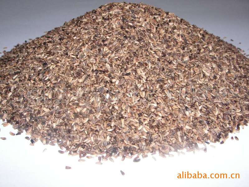 供应优质牧草种子-老芒麦种子,老芒麦又名垂穗大麦草 - 李新刚 - 豆当