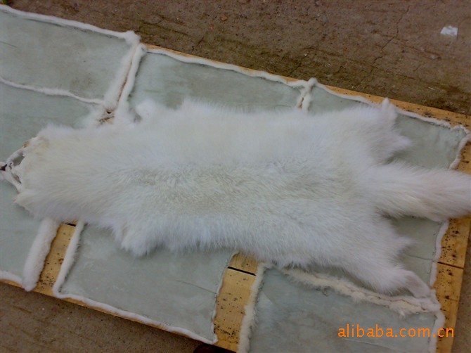 供应 白貉子皮