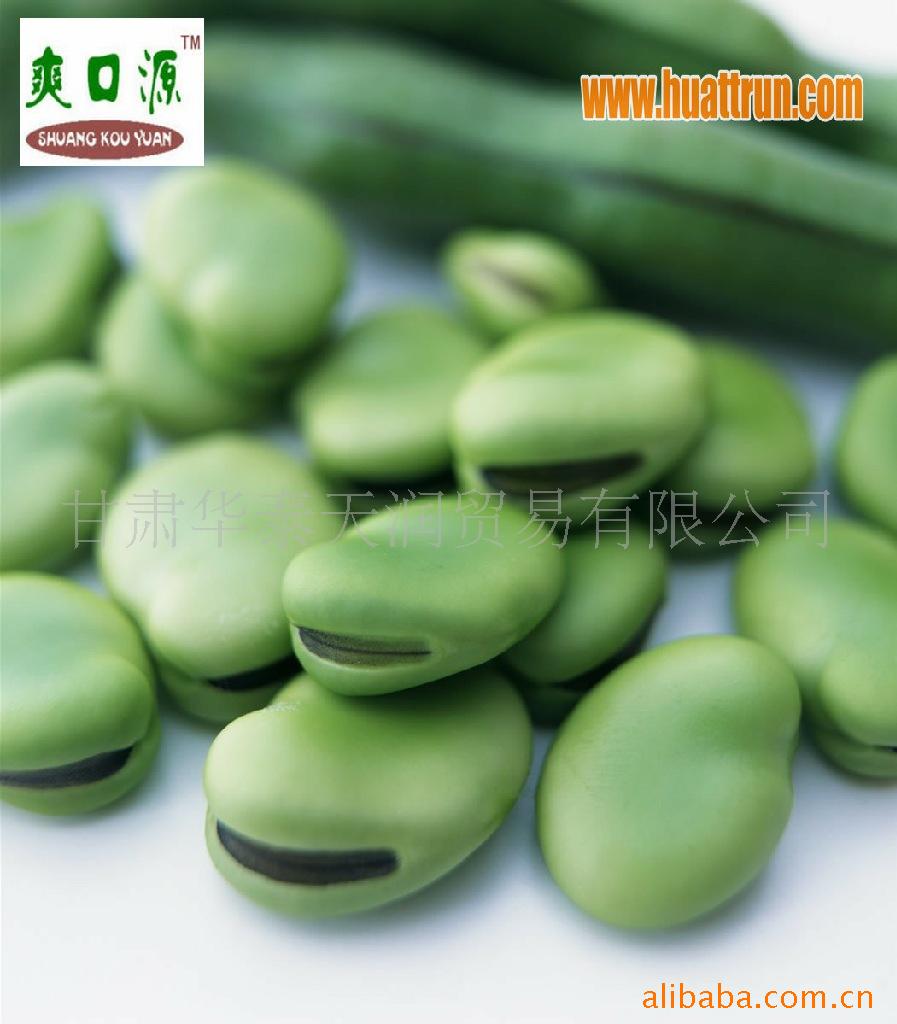 【精品】爽口源牌 出口级速冻蚕豆瓣