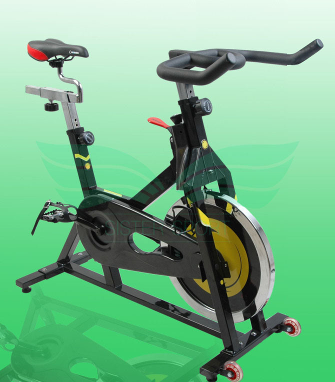 動感單車 斯賓車 家用健身車 spinning bike