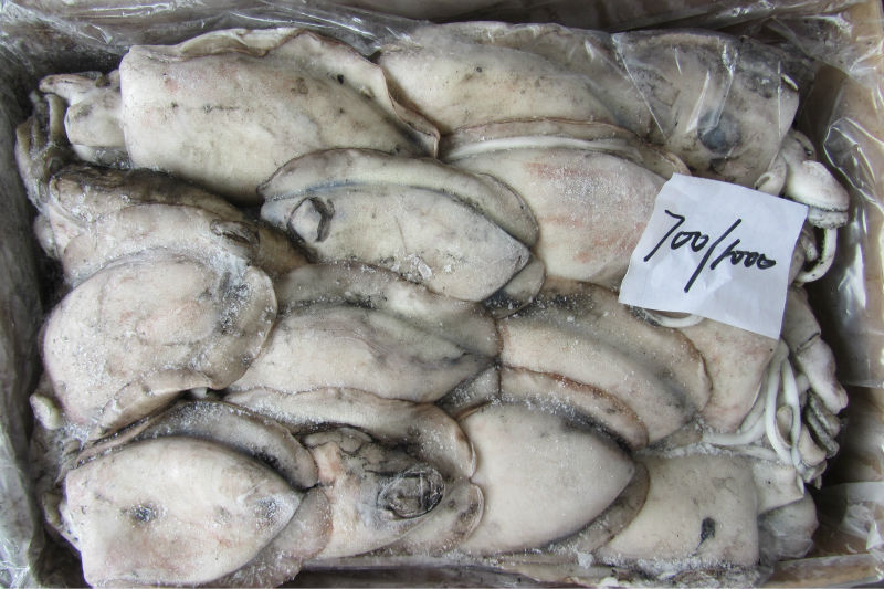 进口原条冷冻墨鱼 海产品 冷冻水产 也门墨鱼 营养保健 *.