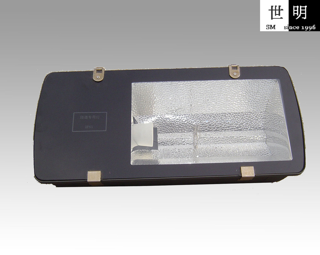 400w 钠灯 隧道灯