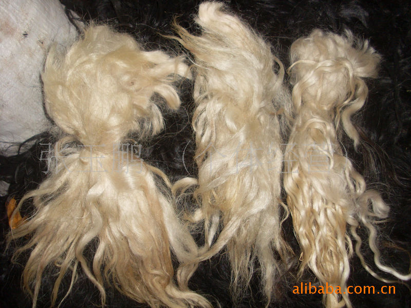 【供应牦牛毛 牦牛绒 白牦牛尾毛】甘肃武威供应牦牛