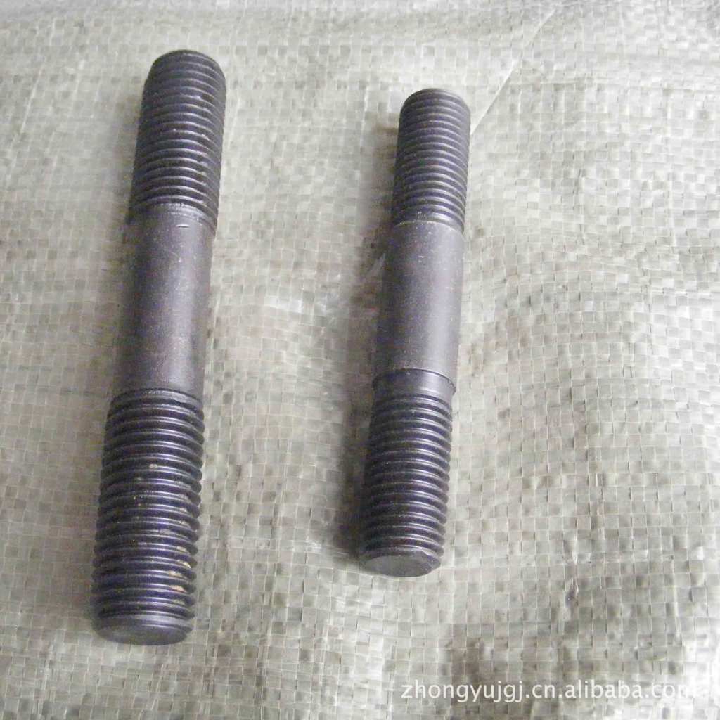 厂家供应高强度双头螺母